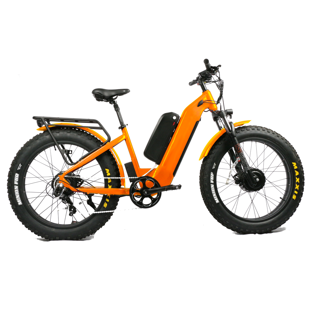 Hydraulic Front Fork Within Ch - Dual Motor Electric Motorcycle Frame 评论和价格