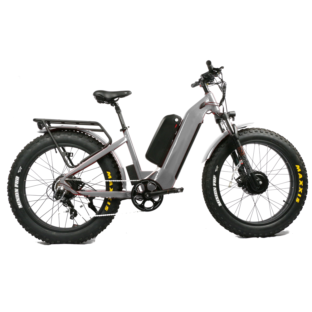 Hydraulic Front Fork Within Ch - Dual Motor Electric Motorcycle Frame 评论和价格